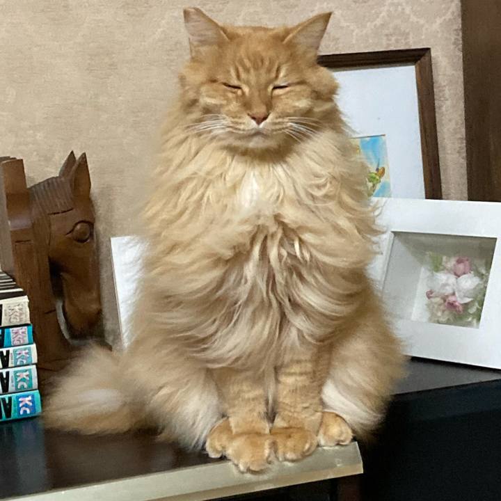 0647b2a8 9c4e 4a72 bfe0 7d8de1d8df8a 1769690535854