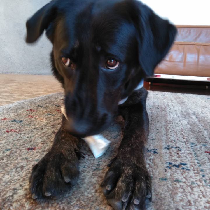 0647de53 b40d 4329 8feb 3a01af757bad 1553380869795