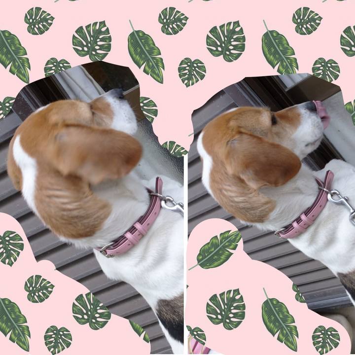 0647f0ce fbc3 4577 a27c 226cca79a06d 1587116013852