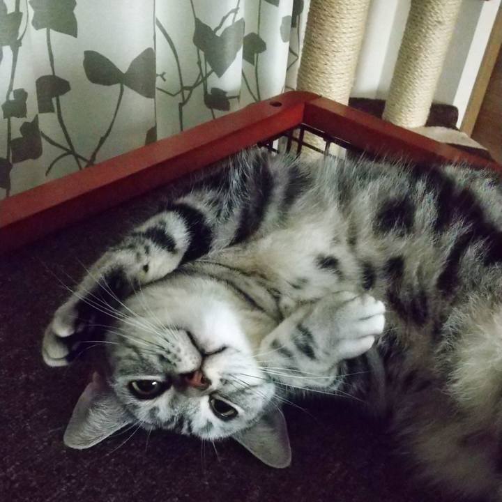 0648025e c8df 4da8 b453 cb94f94b35a6 1624333900153