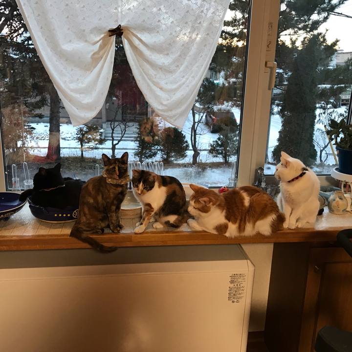 0648313c 320d 4492 95b2 adc9e784861a 1606858888072