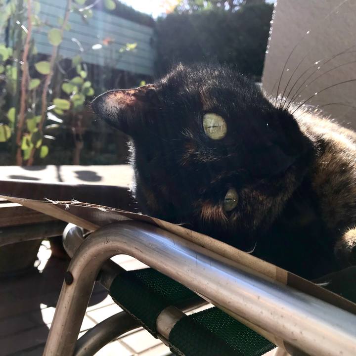 06489144 57d0 4221 88f3 2c88d45e7836 1513129284161