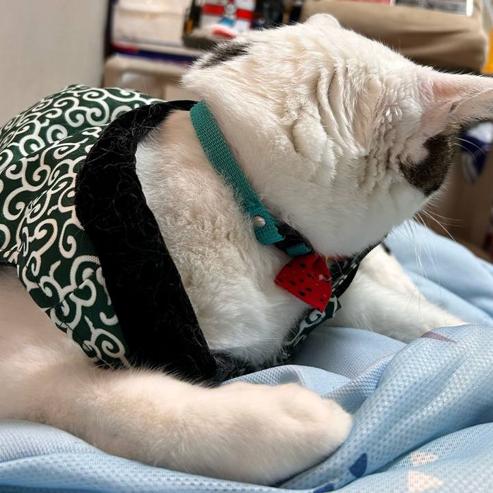 0648ea98 e40c 4316 a67a 5e5f5aeadbef 1760006177881