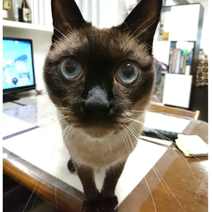 06490012 d4da 4cd9 8bca 27b871c58999 1529275708149