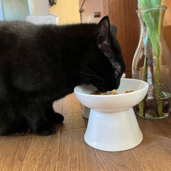 064914af c57b 40ce 9624 902498b710c1 1706574212280