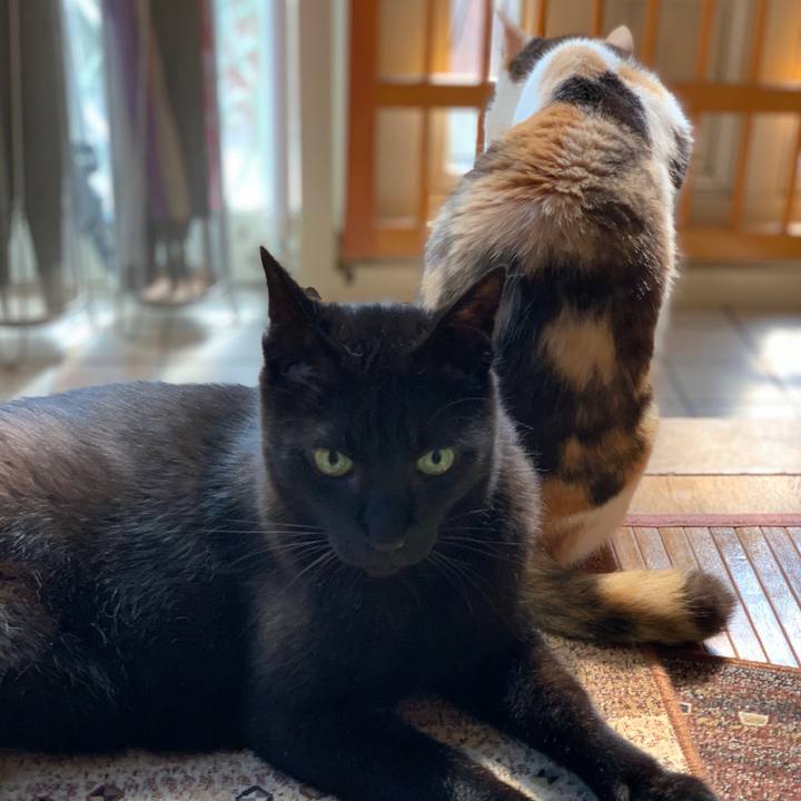 06494261 0faa 4dc5 b9c3 6d0354350807 1561161445300