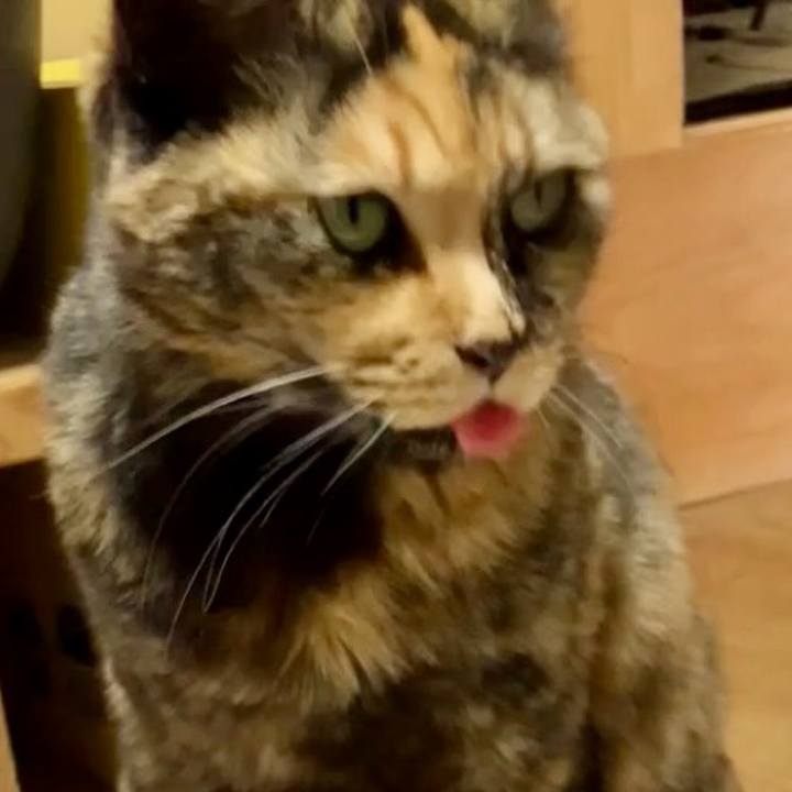 06495897 e831 4fdd 8d11 c939570d2fbb 1737772864177