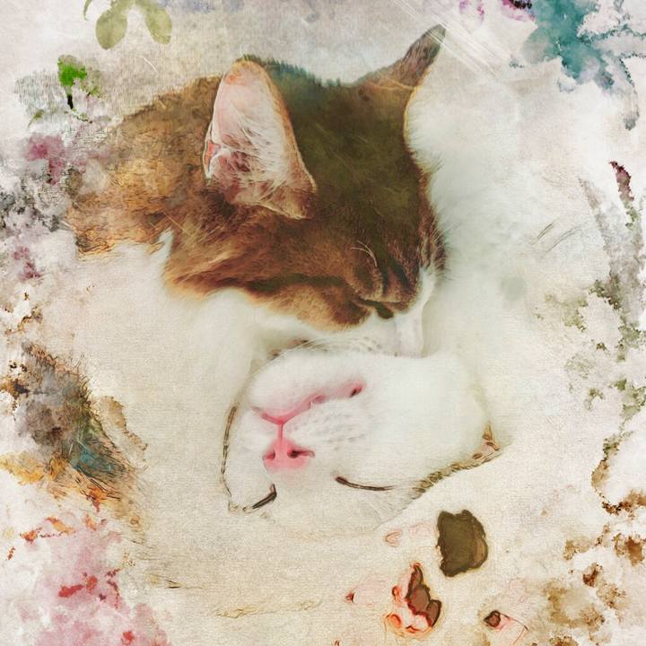 06496fda 3227 4c24 888c 68b0a3f077fe 1510635484763