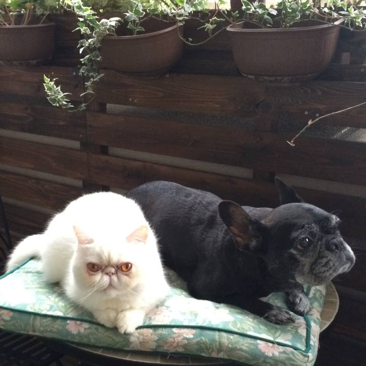 064981f9 512e 481f 83fb 15549a94bb59 1522330814895