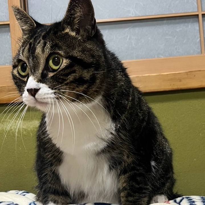 064988f5 a694 4818 95c5 daf32f8f34c3 1761354602640