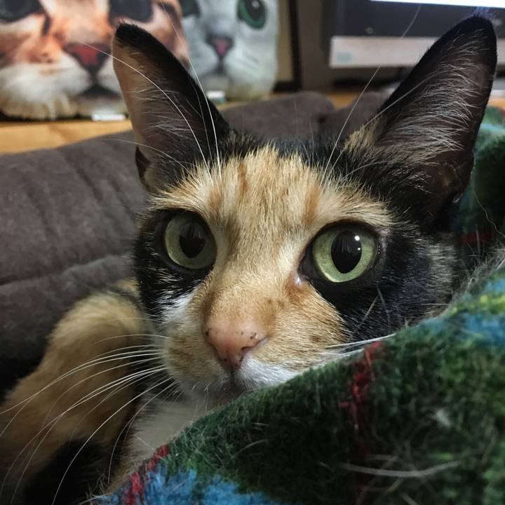 0649aa2e b7c3 4cd3 96e2 3b2876a65324 1518273718654