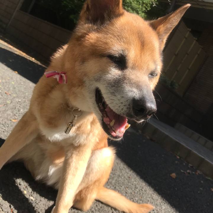 0649b3fa 2482 4457 8cee a46879cfa1cd 1524875412427