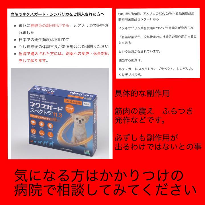 0649e3da b04b 4511 b497 722f9ce9cd95 1540451479933