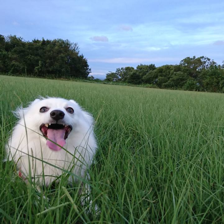 0649fc27 3ca0 4f53 94a8 a61ddec0bd24 1536485597968