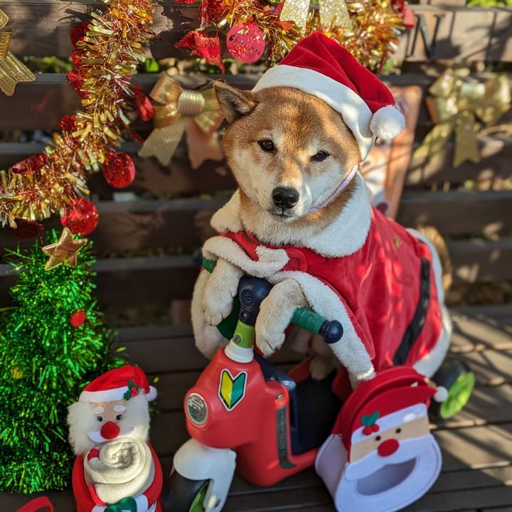 064a1243 f55a 42a1 b4c2 aa7c6bc7412e 1703496687980