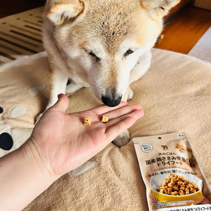 064a1329 ec6f 4594 86c4 407f4d54e394 1748232863823