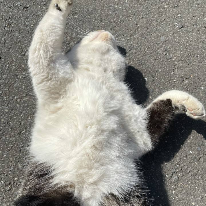 064a762c acd6 474a b5bf 0578db33f066 1613196901747