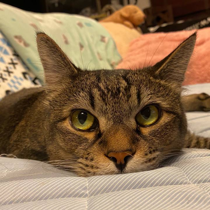 064a7776 2da9 4b90 8dcd 30301c1cf057 1595762969397