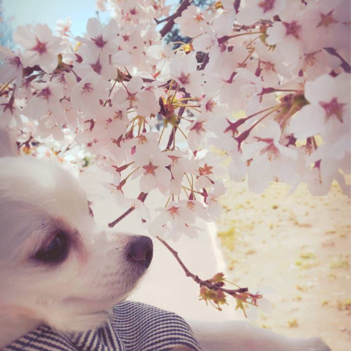 064a94ca 1327 47bb a0ad 5d85fbcc6920 1555495629536