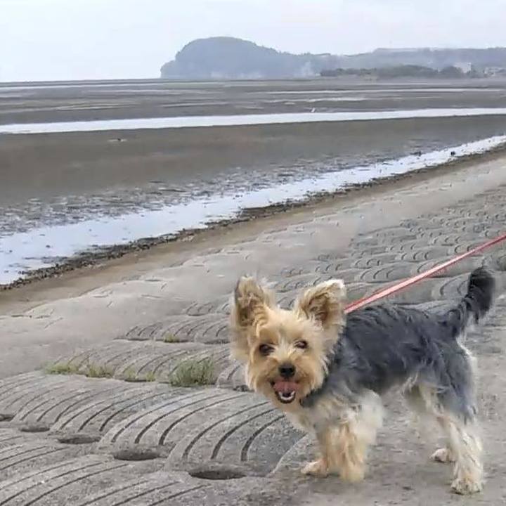 064aee8c e8a4 4e3e bdf8 2f97a348116b 1562055361209