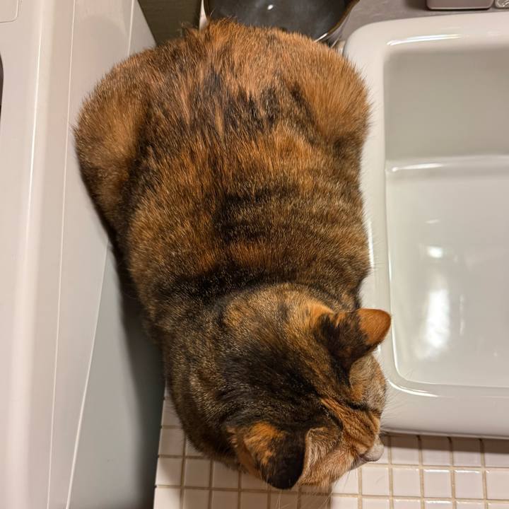 064af017 11a9 417c 9549 5c6b3521091b 1770244688157