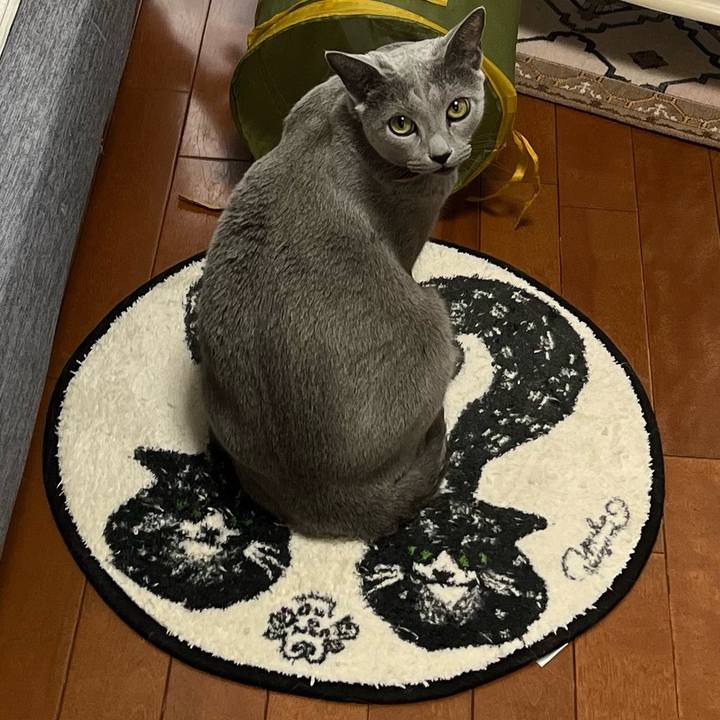 064b049a 1ed4 4dd7 883a bced8aa53850 1691198586151