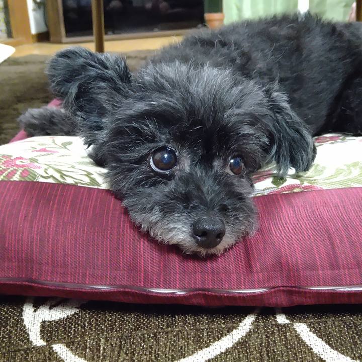 064b2bd1 e23b 4746 89f7 43d4c96f2a21 1626605253162