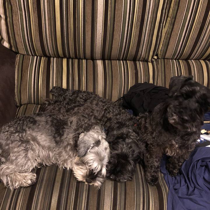 064b93c0 9867 4eef 96de 6e3e03db99ae 1555252438428