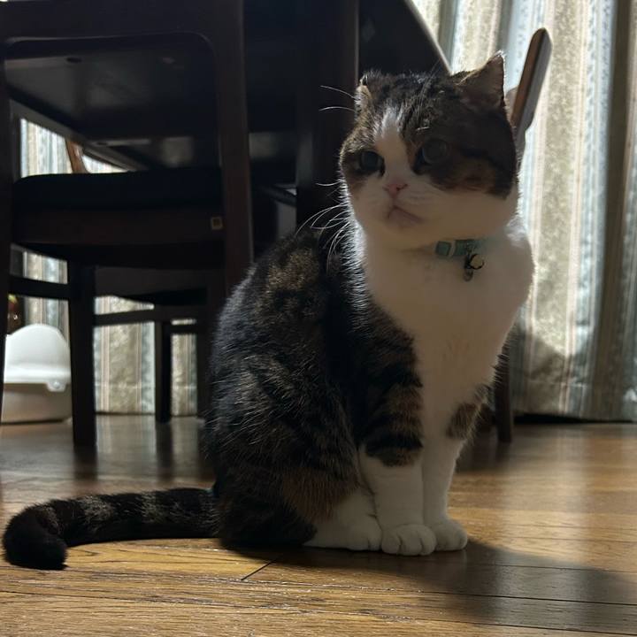 064bb266 f522 40df a1eb 33c2cf2722bd 1770238287492