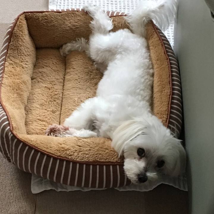 064bb28c 2dfd 44eb b7a9 659e21a2defd 1534047101804