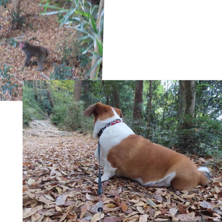 064bb41a ea51 4ef6 bc4d d599fdf0ded4 1668381644667