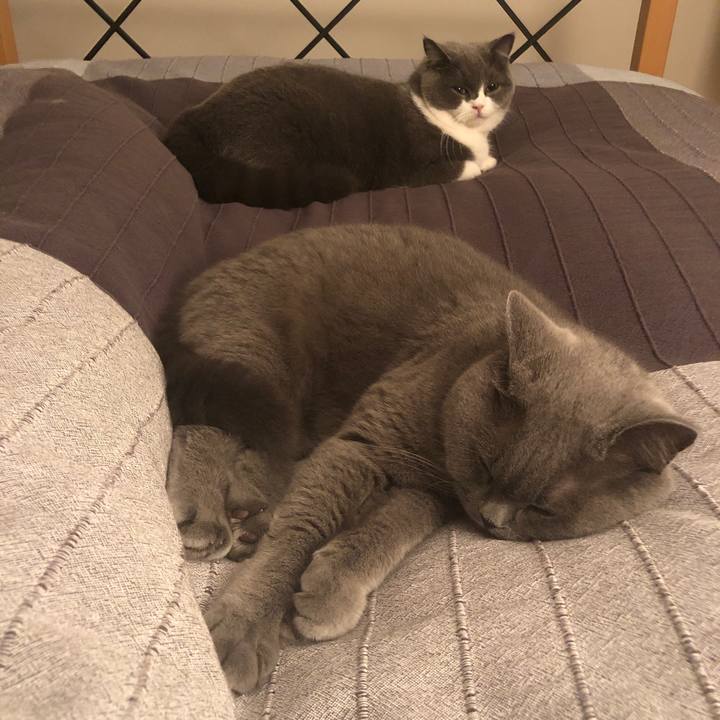 064bdf07 9dfc 4e54 bfd3 c5beeff60186 1543427866929