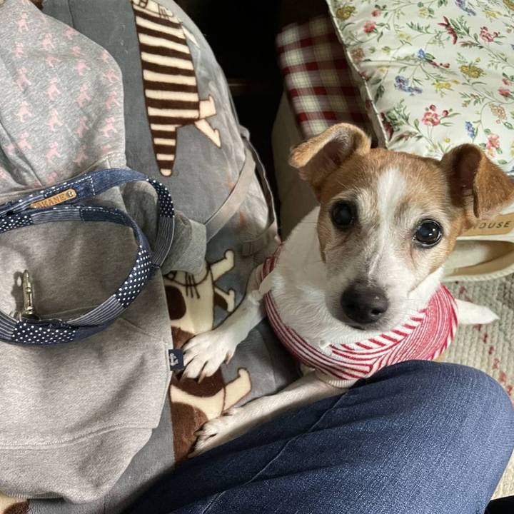 064be893 9d6d 4386 83e7 d2080cc5e71d 1762125411324