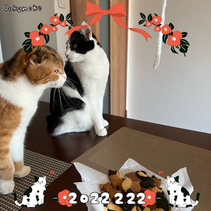 064c19c2 0abd 4e31 a546 893976c91d64 1645505794276