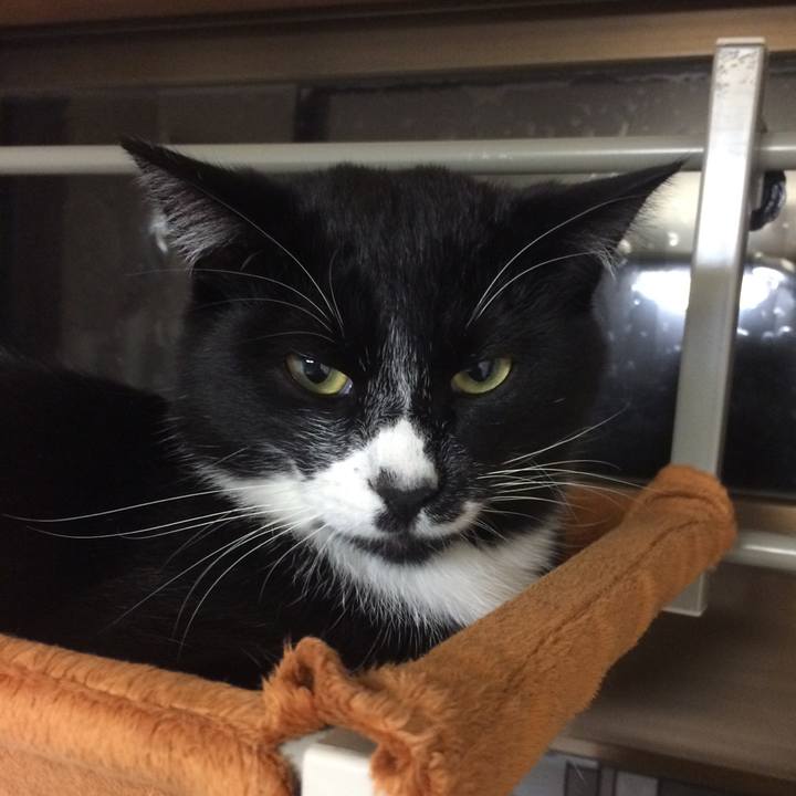 064c39bd bed1 4c64 ac5c 9487b68e8ca9 1510717357567