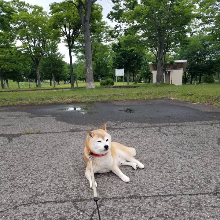 064cf4e6 c55b 4b4f bfac 32f081923b90 1717140733709