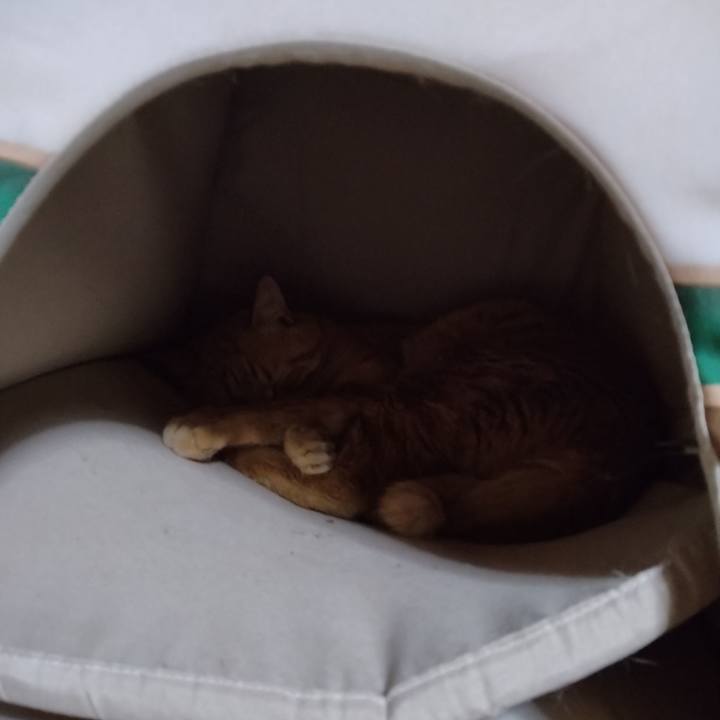 064d07c8 4cab 44d4 b387 f069e31a3344 1681476661829