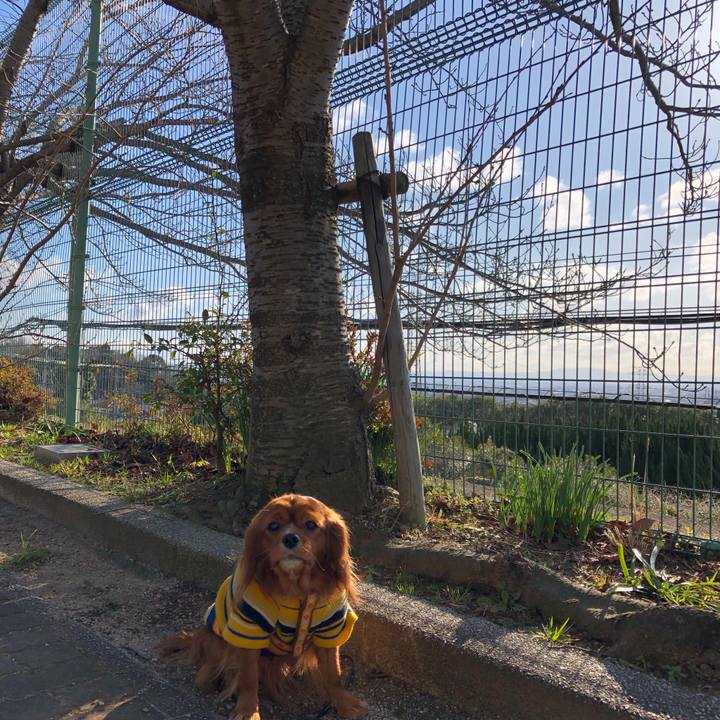 064d1a1e 83a9 4f4c ba71 ee960775e489 1581207966035