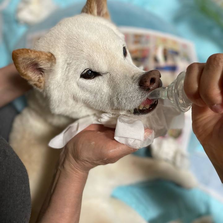 064d1b72 743c 4b94 80f1 bdd6c66439f7 1651924986834