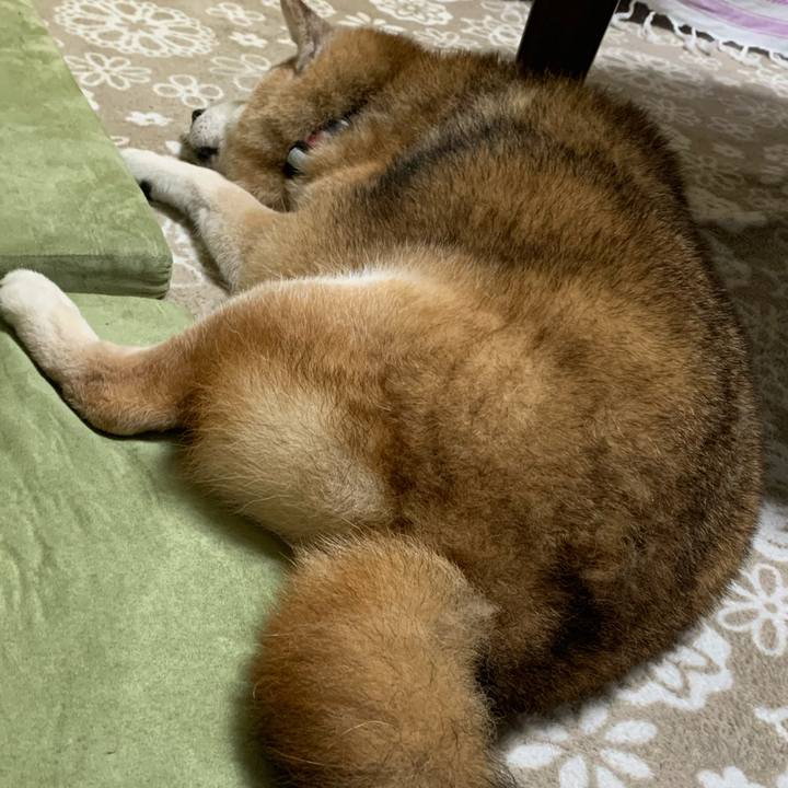 064d3d6b 1560 47ee b06f 632b6053c482 1696892227873