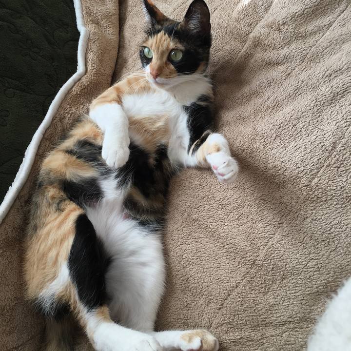 064d6527 1179 4cc4 8397 8daf93de16a2 1518171834203