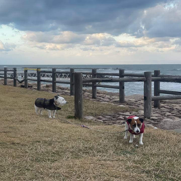 064d906d 64d8 4200 9c0b f3a02de0944a 1763768491194