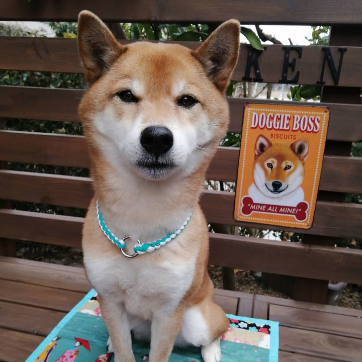 064d9dce 0c92 4b05 903e d1d57b8f64da 1611800114758