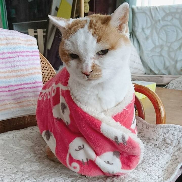 064df150 55ba 44d9 b5bd 8c4fb358a645 1735707173762