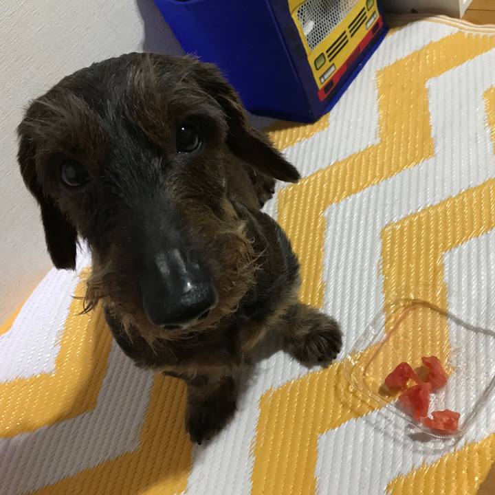 064e14d3 dac9 40f7 8d34 b87391660418 1528120892013