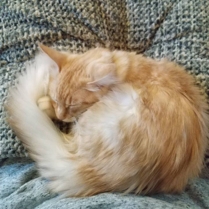 064e2af3 0857 4e1b 91b4 7739113c07ba 1610323732120