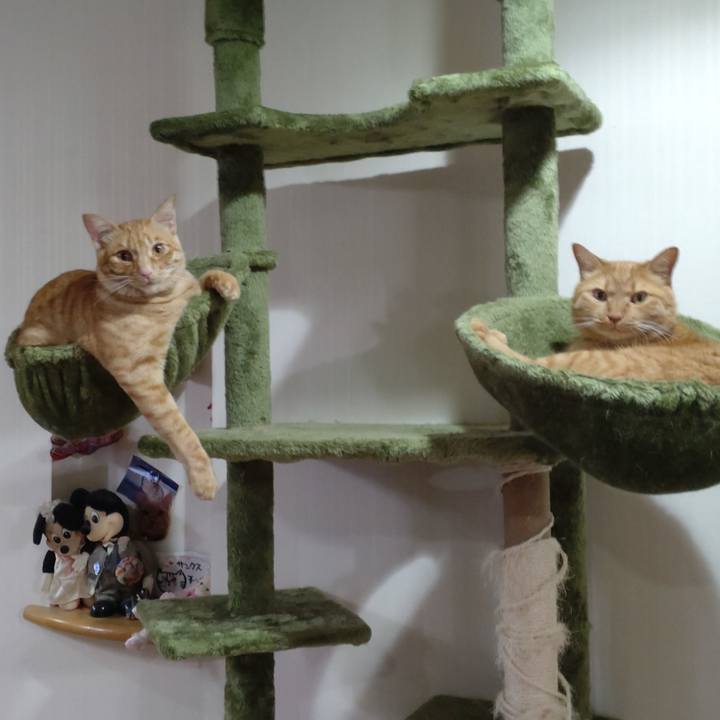 064e3364 4680 42a8 849e e3652e229edd 1688031211189