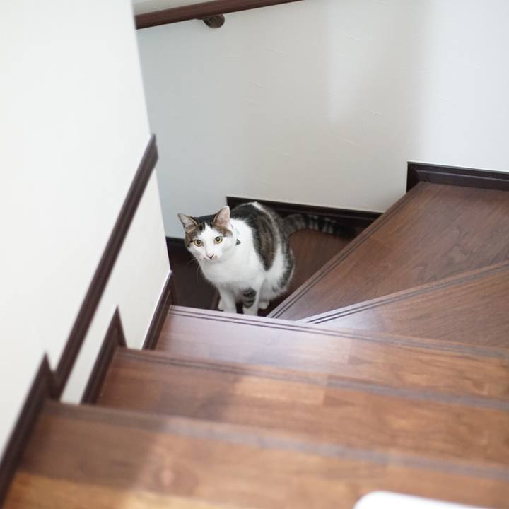 064e4725 c4fd 491d b01b 5715c9e5df3d 1532316990141