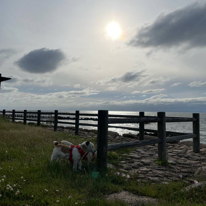 064ec82e 059c 478b 9519 b949141fd683 1654331001108