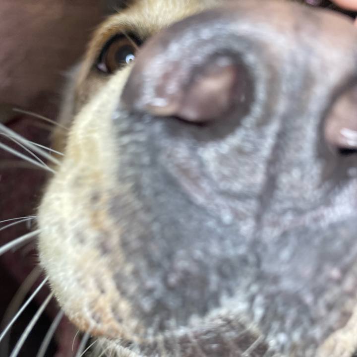 064edb31 01a2 41ef ad91 4df314e5d90a 1666358222866